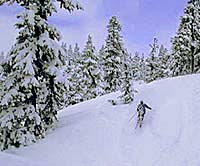 #5: End the day at Le Chamois Locals call this apres-ski bar