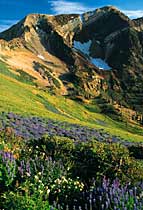 "A native of Ontario, Canada, Jorgenson moved to Whistler in 1993 at the age of 17. He began taking pictures of the local skiers and mountain bikers…"