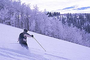 Blue Sky West winter 13 None