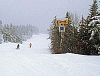 "$50; nandahome.com  I once hit the snooze button for an hour straight, sleeping in five-minute bursts, unable to drag myself out of bed. Thank God it&hellip;"