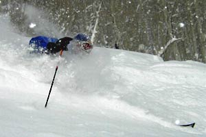 "Made from 100 percent mohair fibers, Colltex Extreme Climbing Skins utilize a newly patented glue that becomes stickier under pressure, meaning they…"