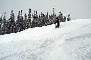 "For your park-rat nephew: We’re still not totally sure why, but skiers in the park like looking like robbers holding up a bank. They all wear…"