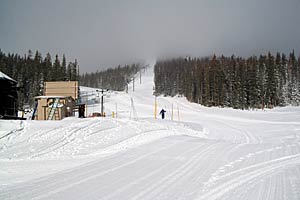 Shirtless Skier None