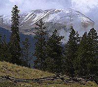 Where to Eat in the Sierra Where to Eat near Tioga Try the lobster taquitos or the fish tacos at the Whoa Nellie Deli in the Mobil Mart at the junction of Tioga Pass Road and…