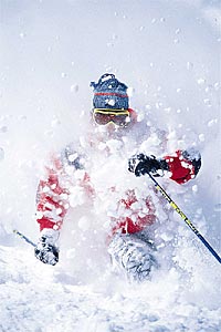In Praise of Powder: Alta, Utah Photographer: Greg EpsteinLocation: Alta, UtahSkier: Spencer Wheatley