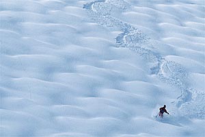 In Praise of Powder ariel bumps 1199 Photographer: T.R. YoungstromLocation: Telluride, Colo.Skier: Unknown