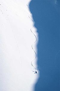 In Praise of Powder: Island Lake Lodge, B.C. Photographer: Mark GallupLocation: Island Lake Lodge, B.C.Skier: Mark Deneau