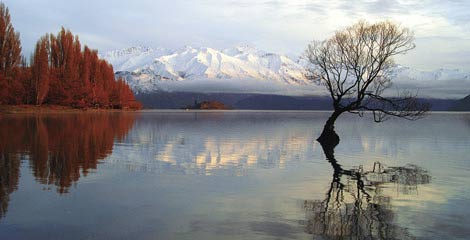 Lake Wanaka, New Zealand Backstory