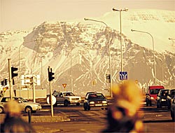 Northern Light.e None
