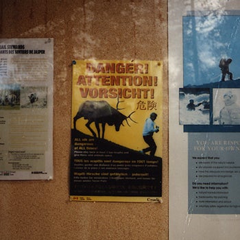 Wildlife Posters Chance wildlife encounters are part of the package.