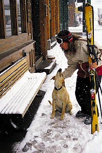 sun valley pic E 1000 A local skier greets a local canine.(Photo by Thia Konig)