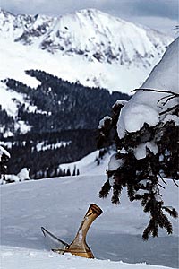 taos pic J 1000 Ernie's infamous Martini Tree¿a goblet of gin that serves as on-hill liquid motivation¿still exists.(Photo by Ken Gallard)