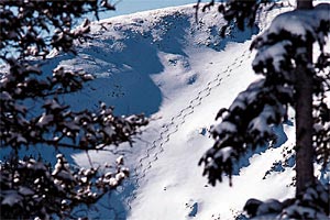 taos pic K 1000 (Photo by Ken Gallard)
