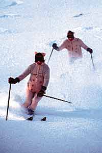 Ski Towns Fernie H 1100 Powder Pigs rip it up at the annual Powder 8 Competition (costumes optional).