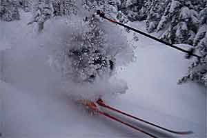 Stowe F 1100 A summer of snipping and pruning by Stowe's guerrilla tree hogs pays dividends when the snow falls and the woods call.