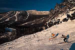Stowe G 1100 None