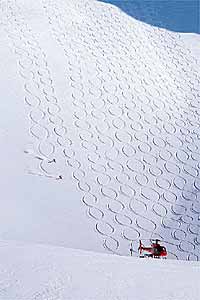 Almost a Cover: Powder 8's, Mike Wiegele's, B.C. What warm-blooded skier would fail to linger over this shot? It's stunning. But the tiny competitors would be lost in cover type.