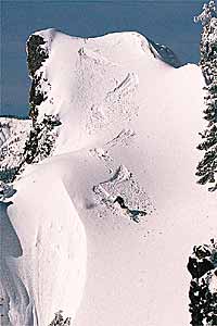 Almost a Cover: Sugar Bowl, Calif. This beautiful Sierra scene conveys the thrill of nailing first tracks. The small skier, unfortunately, would