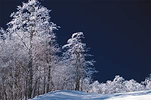 Ski Windham 1200 H Some come for the rural beauty of the northern Catskill Mountains.