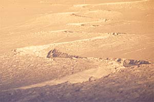 First Tracks: Alta, Utah