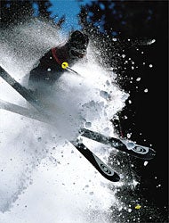 Body Shot Skier: Mike HolmquistLocation: Taos, New Mexico