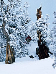 Finding Holes at Jackson Skier: Jason TattersallLocation: Jackson Hole, Wyoming