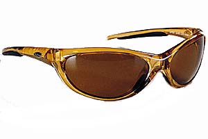 Ski Style 1001 Pic E Smith Zipper Techlite sunglasses in honey, $95