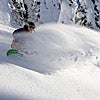 Ski Style 1001 Pic M Spyder Alta jacket in pebble, $585