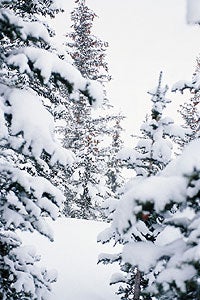 Aspen 105 Highland Bowl proves skiing's fundamental equation: work = reward.