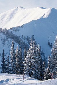 Aspen 105 The Highlands' holy trinity: aspens, snow, solitude.