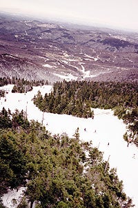 Killington 1104 None