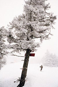 Killington 1104 Crowd pleaser: Experts love it for its breadth and diversity of challenging terrain, but Killington has a softer side that keeps the masses happy,…