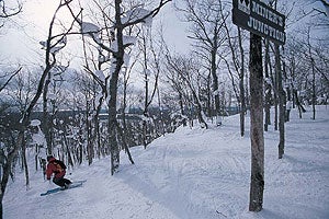 Soul, Feb 2005 A shuttle bus collects skiers whose runs deposit them at a road junction, rather than at the base.
