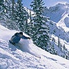 Telluride Mountain Lodge None