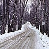 Curves Ahead Route 100 worms its way to the heart of Vermont and all its byways, linking ski areas from Mount Snow to Stowe.
