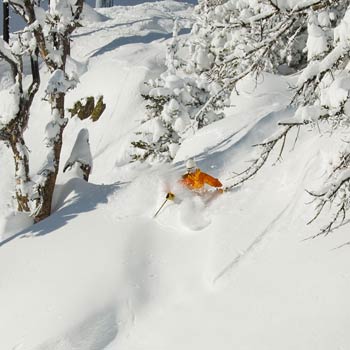 Turning Points, March 2005 Let the tipping of your feet and ankles dictate what happens with the rest of your body. Feel your knees flex, let your hips flow naturally to the…