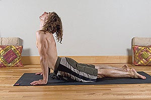 Upward Dog None