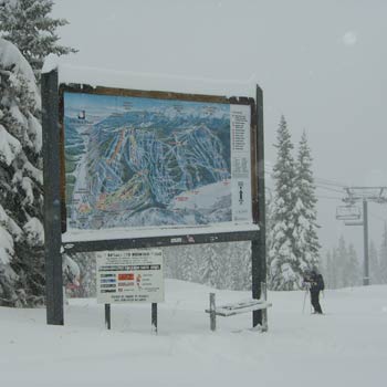 Intermediate: Step 2 Turning your tips firstallows you to grip with yourankles and feet. You caneven edge both skis.