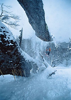 Lindsey Vonn en route to victory. None