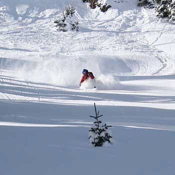 Outdoor Gear Rumor Jacket Under a shell, or even by itself on a spring afternoon, the women's Rumor jacket is ready for takeoff. Its sleeves and balaclava-style speed hood are…
