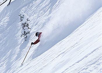 #25: Solitude, Utah A sick day on a sick day? Probably. Skier: Jamey Parks.