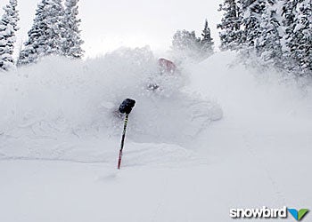 Snowbird, UT Snowbird was slammed with more than six feet of snow in seven days. They have received more than nine feet of new snow since February 10.