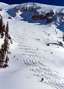 Telluride Helitrax Telluride,Colo. Operates in the San Juanrange—North America's highestheli terrain. From single-run($165—$225) to one day ($895)to multiday…