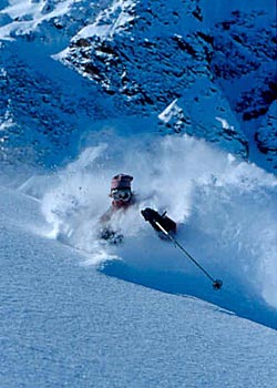 Wasatch Powderbird Guides Snowbird, Utah Located 29 miles from Salt Lakeairport, with a headquarters adjacentto Snowbird resort. One-daytrips in the Wasatch and Uintasranges,…
