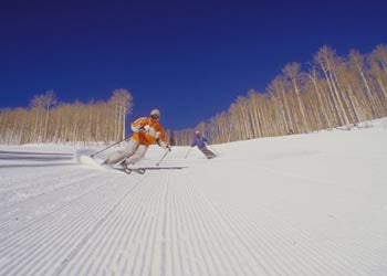 Bald Eagle Mountain Bald Eagle Mountain offers ideal terrain for beginner and intermediate skiers. First-time skiers will appreciate the separate, protected beginners'…