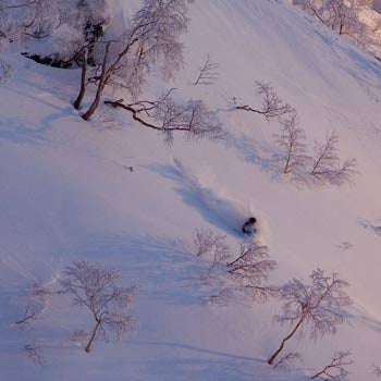 Hokkaido Cruisin' Cruising through the late afternoon of pink sunshine and bottomless powder.PHOTO: Wataru