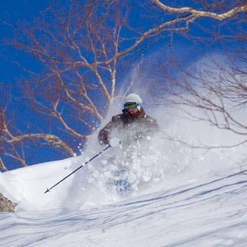 Hokkaido Fluff About as close to heaven as you can get. PHOTO: Wataru