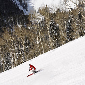 February We're speachless.Click here to order a calendar. PHOTO: Chris Thomson