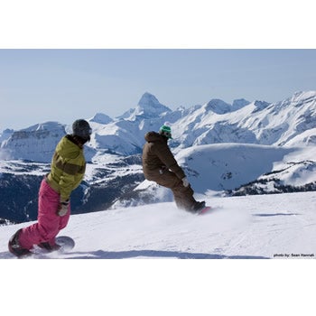 Fresh Powder None