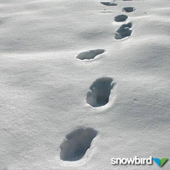 Snowbird, UT PHOTO: Snowbird